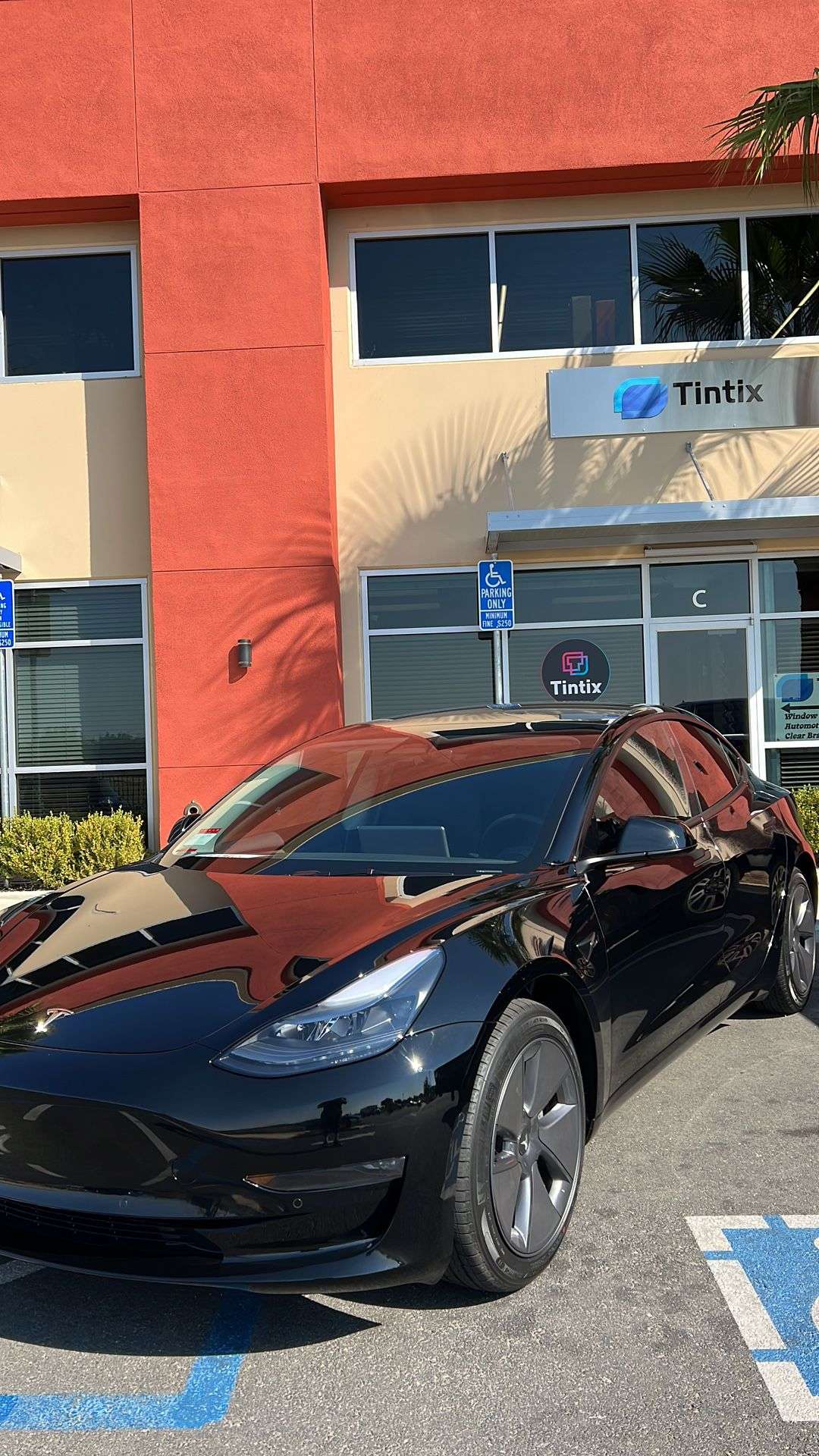 Tesla Model 3 window tinting